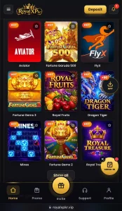 Royal X PKR Game APK Free Pakistani Earning Platform 3