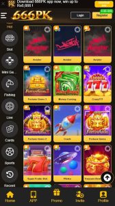 666PK Game Download APK Best Earning App In Pakistan 2026 1