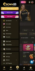 Crown88 Game APK Free Earning Platform For Pakistani Users 2