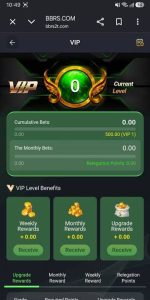 BBRS Game APK Free Earning Platform For Pakistani Adroid User 2